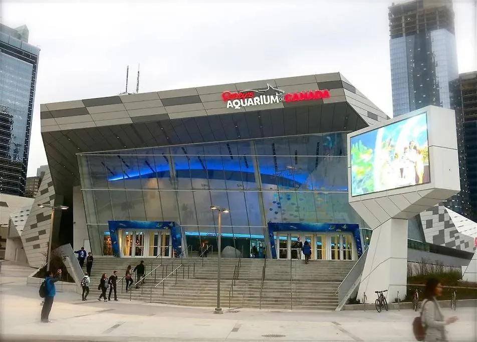 Apartment Luxury Fully Furnished Suite In Downtown Toronto - Maple Leaf Square